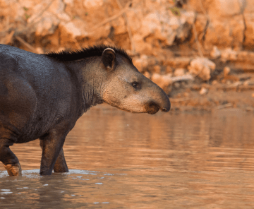 Tour em Grupo | 5 Noites