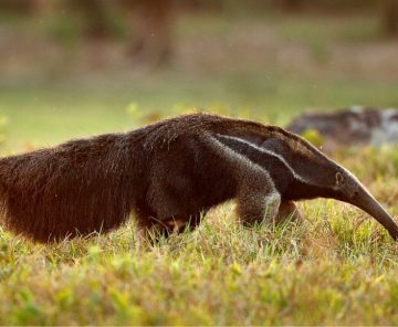 Tour em Grupo| 8 Noites