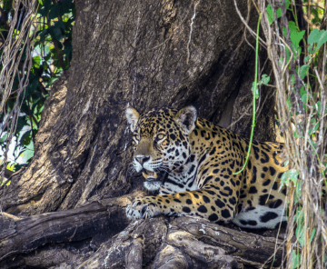 Tour em Grupo | 9 Noites