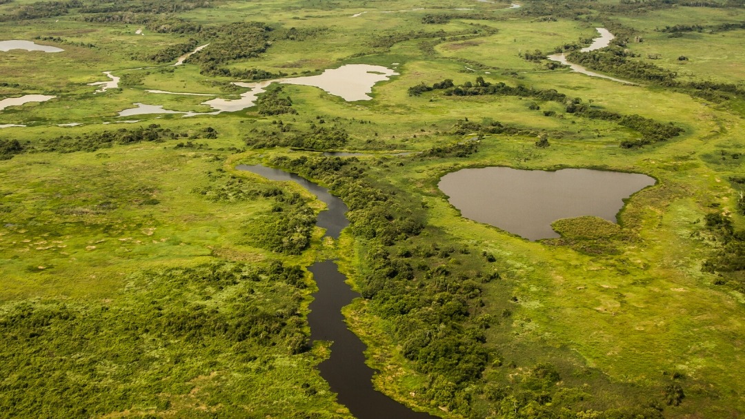 Pantanal